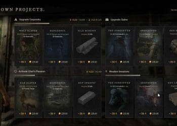 Gobernar un asentamientos en New World