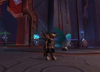 Más espacio en los establos de mascotas