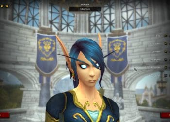 Personalizaciones Elfos del Vacío (Altos Elfos en la Alianza)