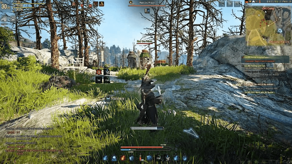 Black Desert MMO Gratis