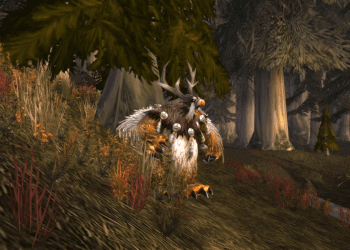 ¿Dónde estás las runas de Druida en Season of Discovery?